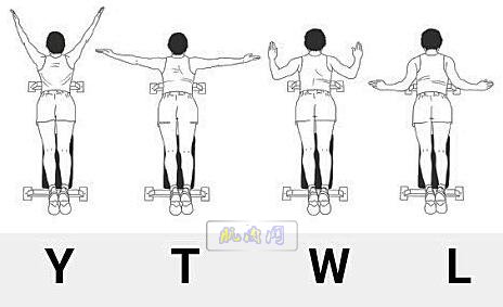 ytwl视频:ytwl肩膀训练教学