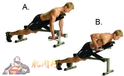 chest-supported-row