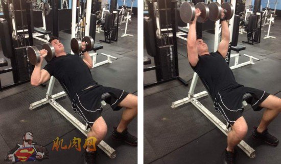 dumbbell-incline-bench-press